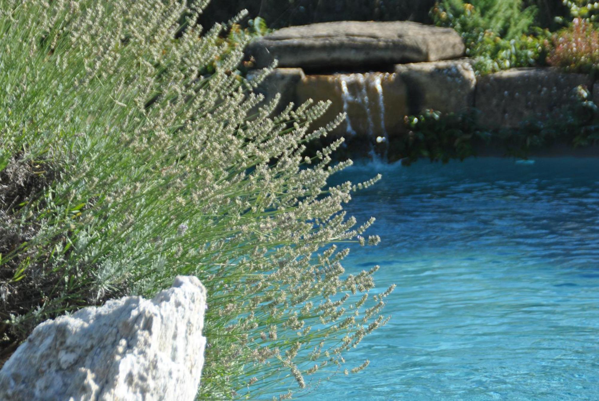 Agriturismo Campo del Pillo Pietradura Exterior foto
