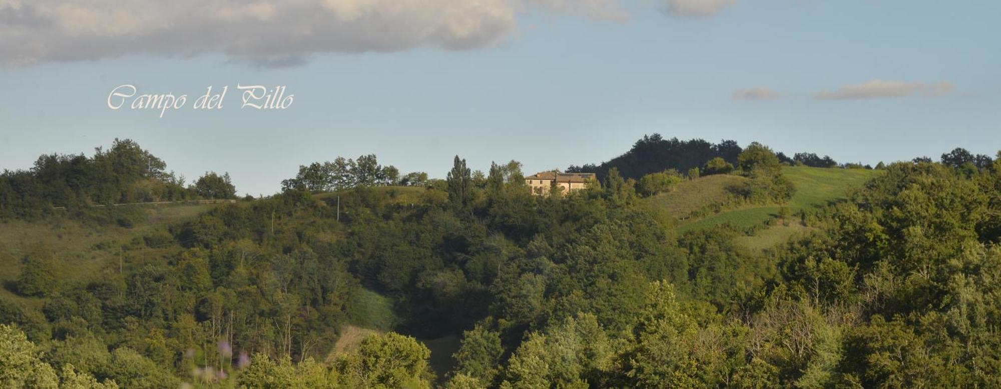Agriturismo Campo del Pillo Pietradura Exterior foto