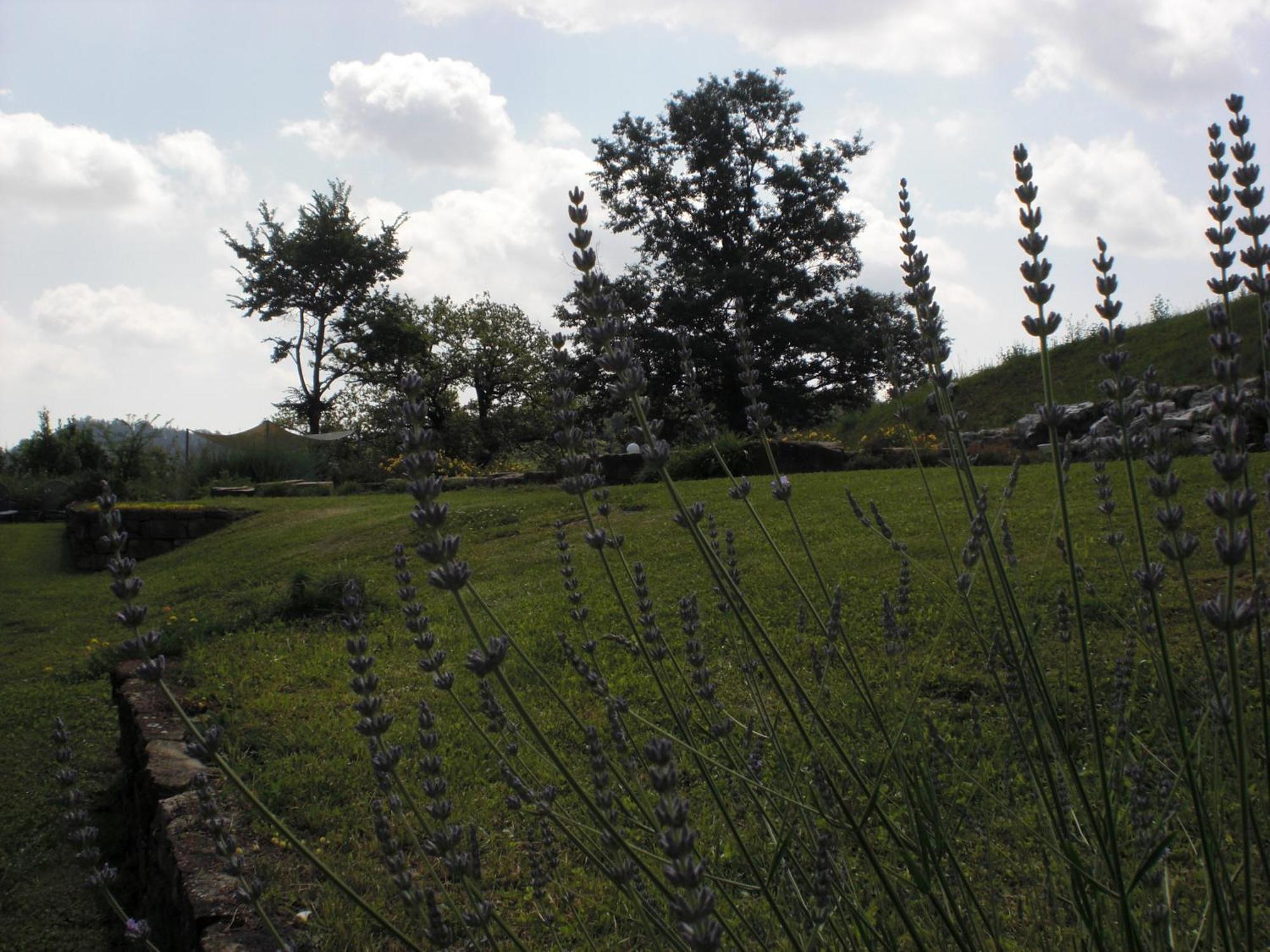Agriturismo Campo del Pillo Pietradura Exterior foto